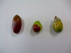 DSCF5021