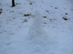 DSCF5595