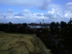 DSCF5738