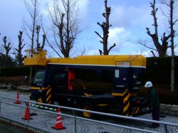 DSCF5742