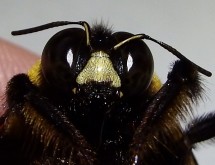 DSCF0915