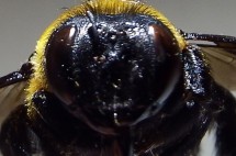 DSCF0950