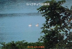 20141013100228_00001