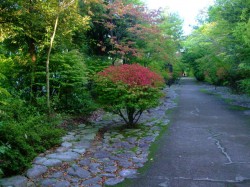 DSCF7899