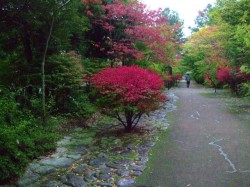 DSCF8034
