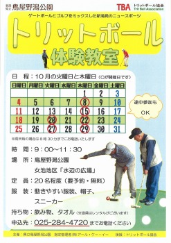 Ｈ27-1008～トリットボール