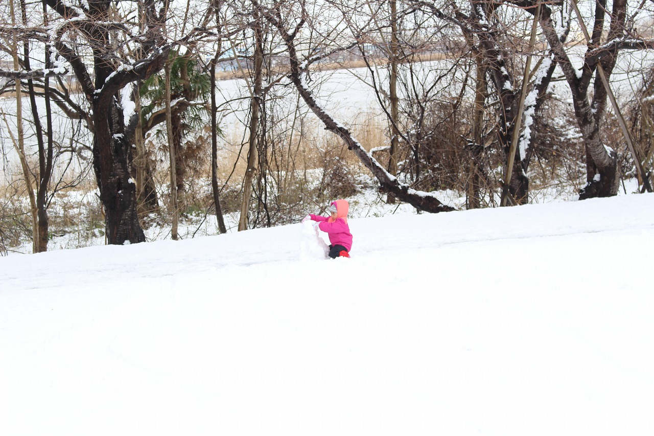 雪が降ったら やっぱり つくろ 園内の見どころ