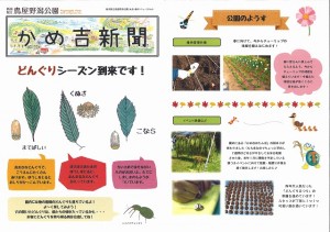 かめ吉新聞　表