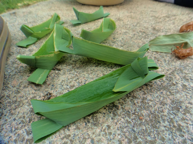 笹舟を作りました 園内の見どころ
