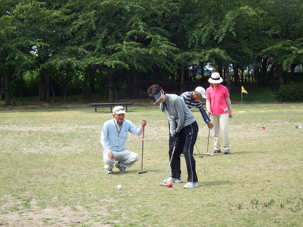 新潟発祥のスポーツ トリットボール 園内の見どころ 新潟発祥のスポーツ トリットボール 園内の見どころ