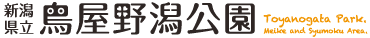 新潟県立　鳥屋野潟公園 ( 女池・鐘木 )