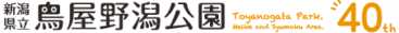 新潟県立　鳥屋野潟公園 ( 女池・鐘木 )