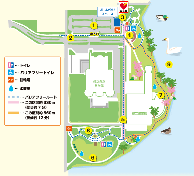 女池地区 新潟県立鳥屋野潟公園